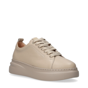  Outlet 37 - wzory pokazowe