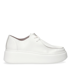 Outlet 37 - wzory pokazowe